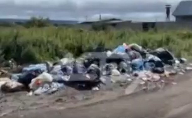 Эко-уголок в Корсаковском районе утонул в мусоре из-за жаждущих деликатесов туристов