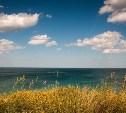 Воздух прогреется до +23 градусов: какая погода ждёт Южно-Сахалинск 4 июля