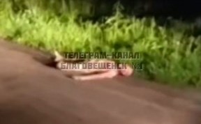Происшествия