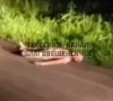 "Отрезана грудь и некоторые другие части тела": амурчанин жестоко убил соседку