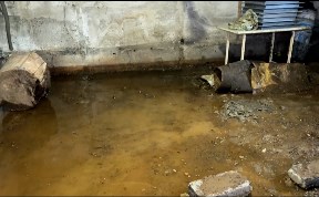 Общество