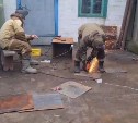 Сахалинцы показали, как строят баню из подручных материалов в зоне СВО
