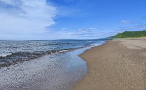 Общество