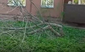 Общество