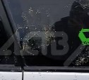 "Было жутко": сахалинец проснулся от того, что здоровый медведь шатал его машину