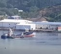 "Без паники": судовладелец опроверг слухи о рыболовном судне, севшем на мель у Шикотана