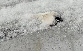 Происшествия