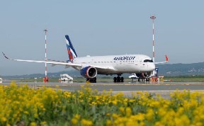 Общество