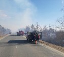 Пал травы перерос в большой природный пожар в окрестностях Березняков