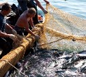 Сахалинских рыбаков освободят от оформления ветеринарных документов на берегу