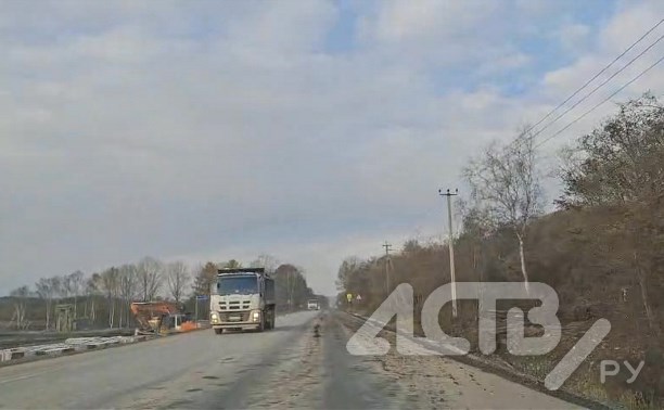 Большегрузы измазали грязью участок охотской трассы