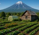 После сильного землетрясения на Камчатке выросли в цене дачные участки