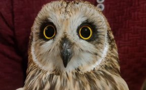 Происшествия