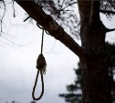 Южносахалинец покончил с собой в лесу за площадью Славы