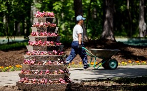 Городской парк Южно-Сахалинска озеленили 20 тысячами цветов