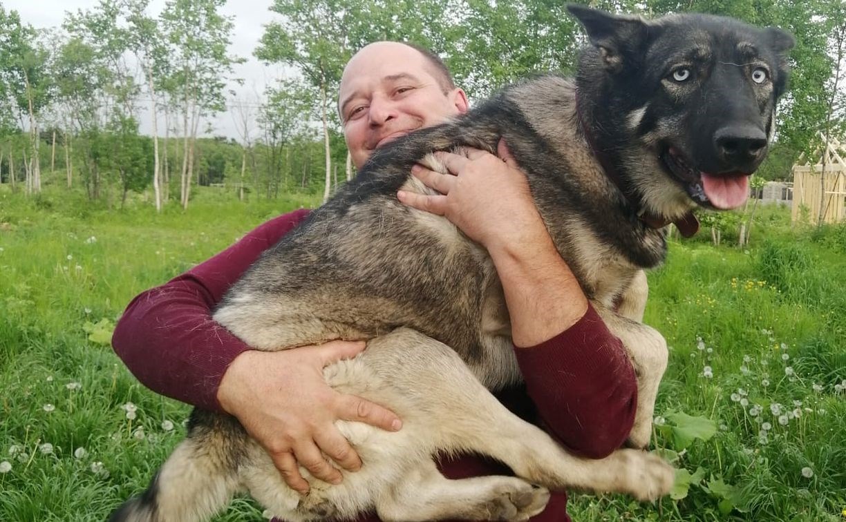Сахалинец нашёл собаку Лолу, пережившую живодёров и убежавшую за лисой