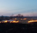 Сезон лесных пожаров начался на юге Сахалина и Курил