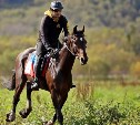 Любителей конного спорта приглашают на скачки "Сахалинское дерби"
