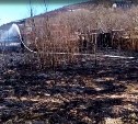 Дети чуть не сожгли половину села на Камчатке, играя со спичками