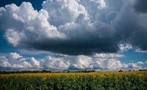 Общество
