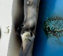 Вандалы в Холмске повредили "Морскую симфонию", пытаясь её поджечь 