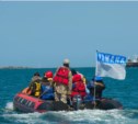 Клуб «Бумеранг» и YAMAHA будут сотрудничать в проведении морских эколого-просветительских программ
