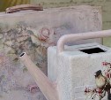 Южносахалинцев зовут сфотографироваться с романтичной розовой лейкой