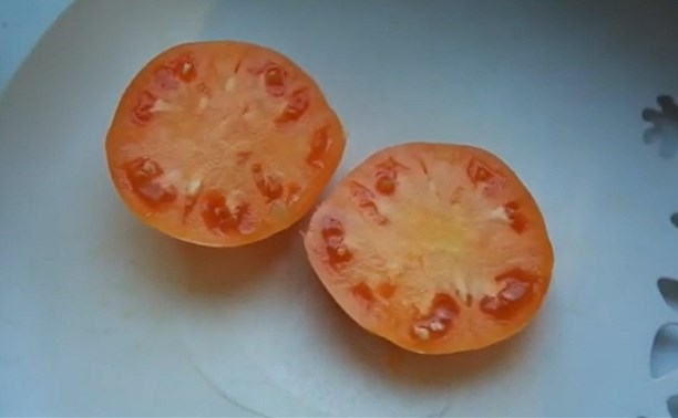 Сахалинка на своем балконе вырастила помидор из помидора 