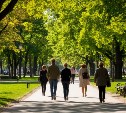 Эксперты: "Увеличение зелёных зон на Сахалине положительно влияет на качество воздуха"