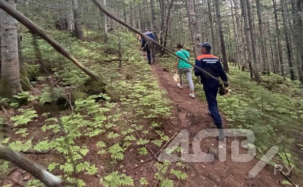 Две женщины потерялись в лесу недалеко от Южно-Сахалинска