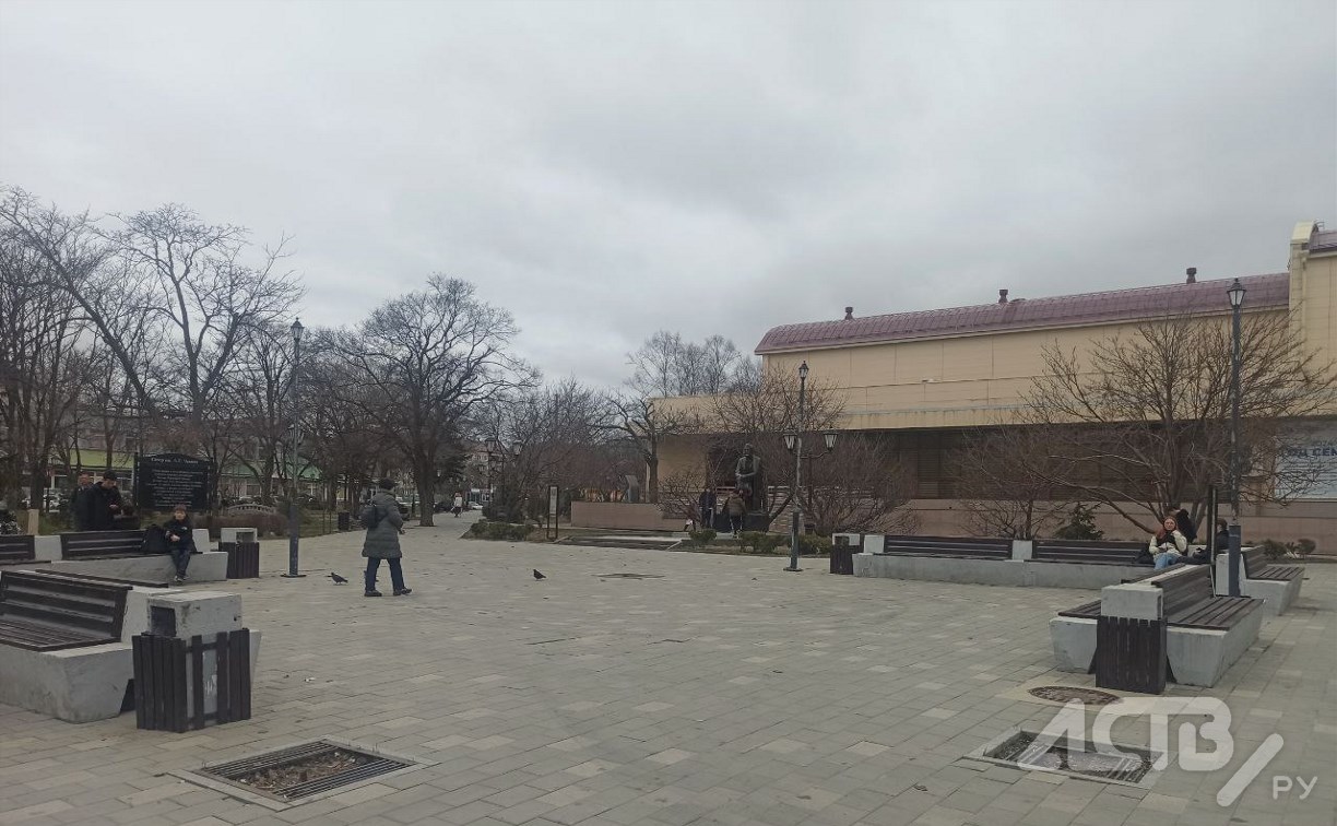 "Деревья и решетки поломаны": жителей Южно-Сахалинска беспокоит внешний вид площади перед главной библиотекой