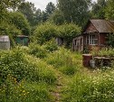 "Официальное признание": сахалинка рассказала, как "несуществующие" дома в Заречном живут без воды