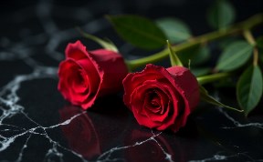 Происшествия