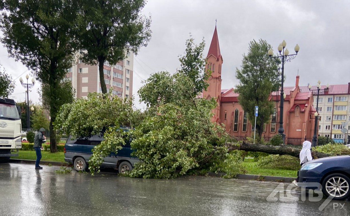 Дерево свалилось на микроавтобус напротив католической церкви в Южно-Сахалинске