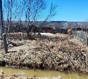 Тело мужчины нашли в канаве у дороги в Александровске-Сахалинском 