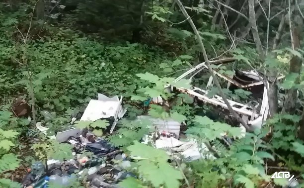 Свалку брошенных машин обнаружили сахалинцы в Корсаковском районе