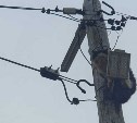 Пожарные в Северо-Курильске спасли кота, спрятавшегося от собак на столбе электропередач