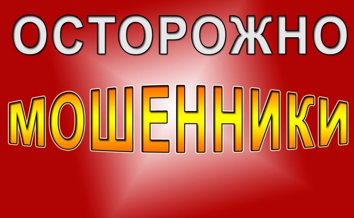 Аферисты пообещали холмчанину работу, представившись московской фирмой