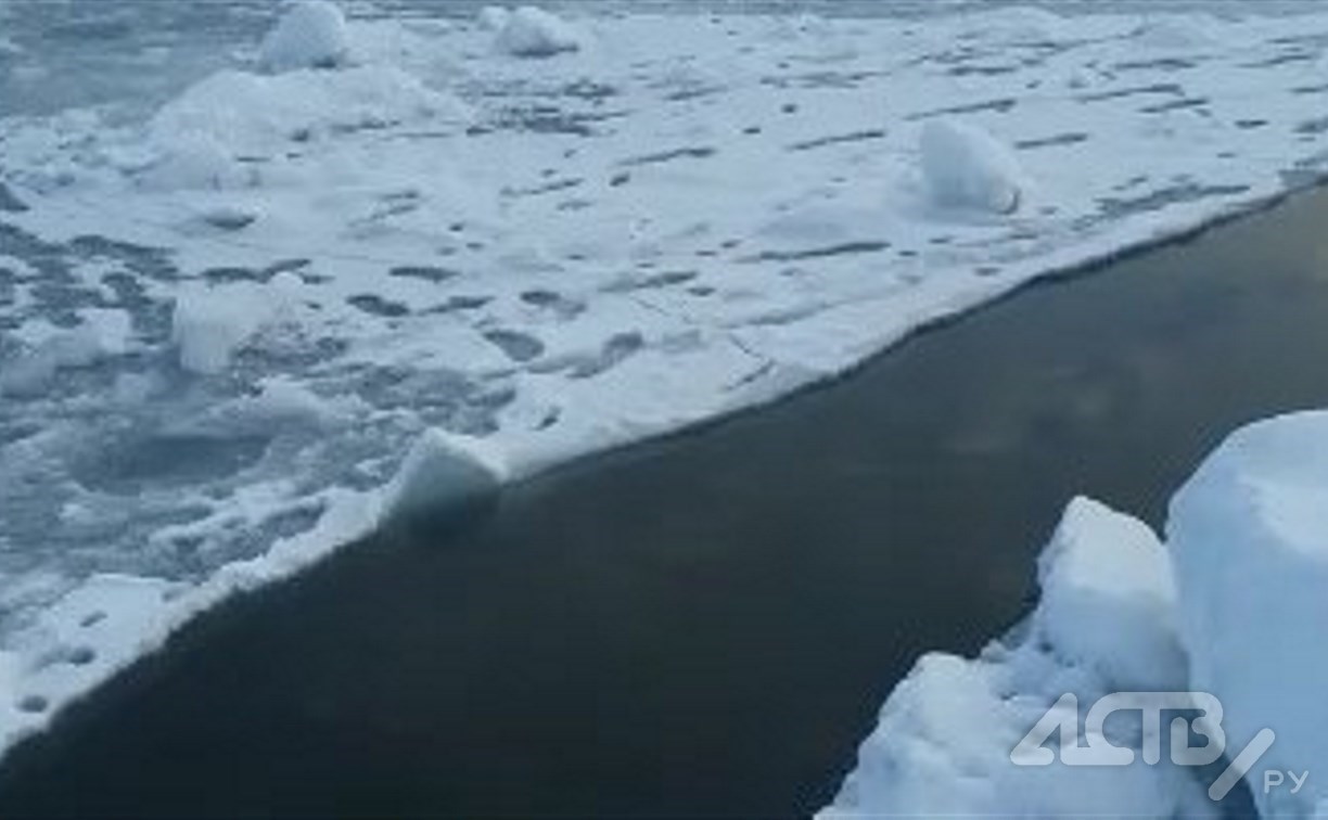 Льдину с 15 рыбаками и 3 снегоходами оторвало на юге Сахалина