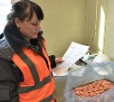 На Сахалин и в Приморье за неделю завезли более 2,7 тысячи тонн зарубежной рыбы и морепродуктов