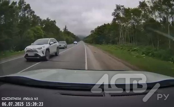 Сахалинка на кроссовере вылетела "в лоб" автомобилю с двумя детьми в салоне