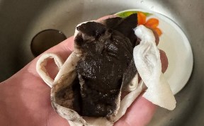 Общество