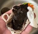 Грязная вода вместо питьевой: жители двух домов в Южно-Сахалинске не могут ни мыться, ни готовить