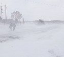 Сильный снег и метель ожидаются на севере Сахалина