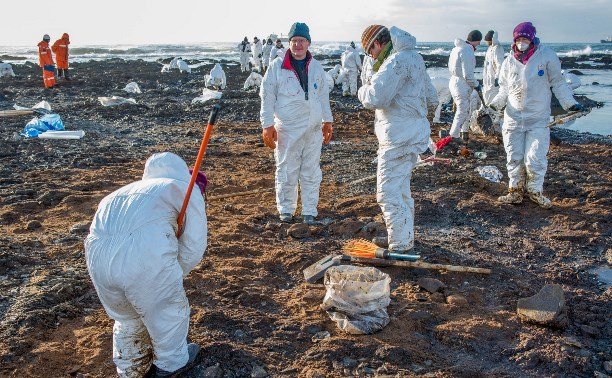 Около 140 волонтеров помогли очистить берег от нефтепродуктов в Невельске