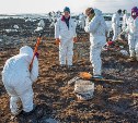 Около 140 волонтеров помогли очистить берег от нефтепродуктов в Невельске