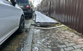 Общество