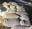 Сахалинские пограничники взяли на Буссе водолазов с 247 кг трепанга