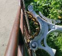 "Как они это сделали?": хулиганы в Холмске перекинули тяжелую лавку через перила виадука 