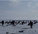 Рыбаки-любители выбрали всю корюшку на юго-восточном побережье Сахалина